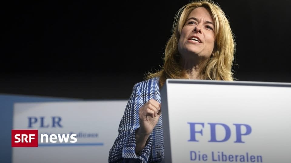 ルワンダへの強制送還 - 国家評議会委員会は亡命希望者を第三国へ送還したいと考えている