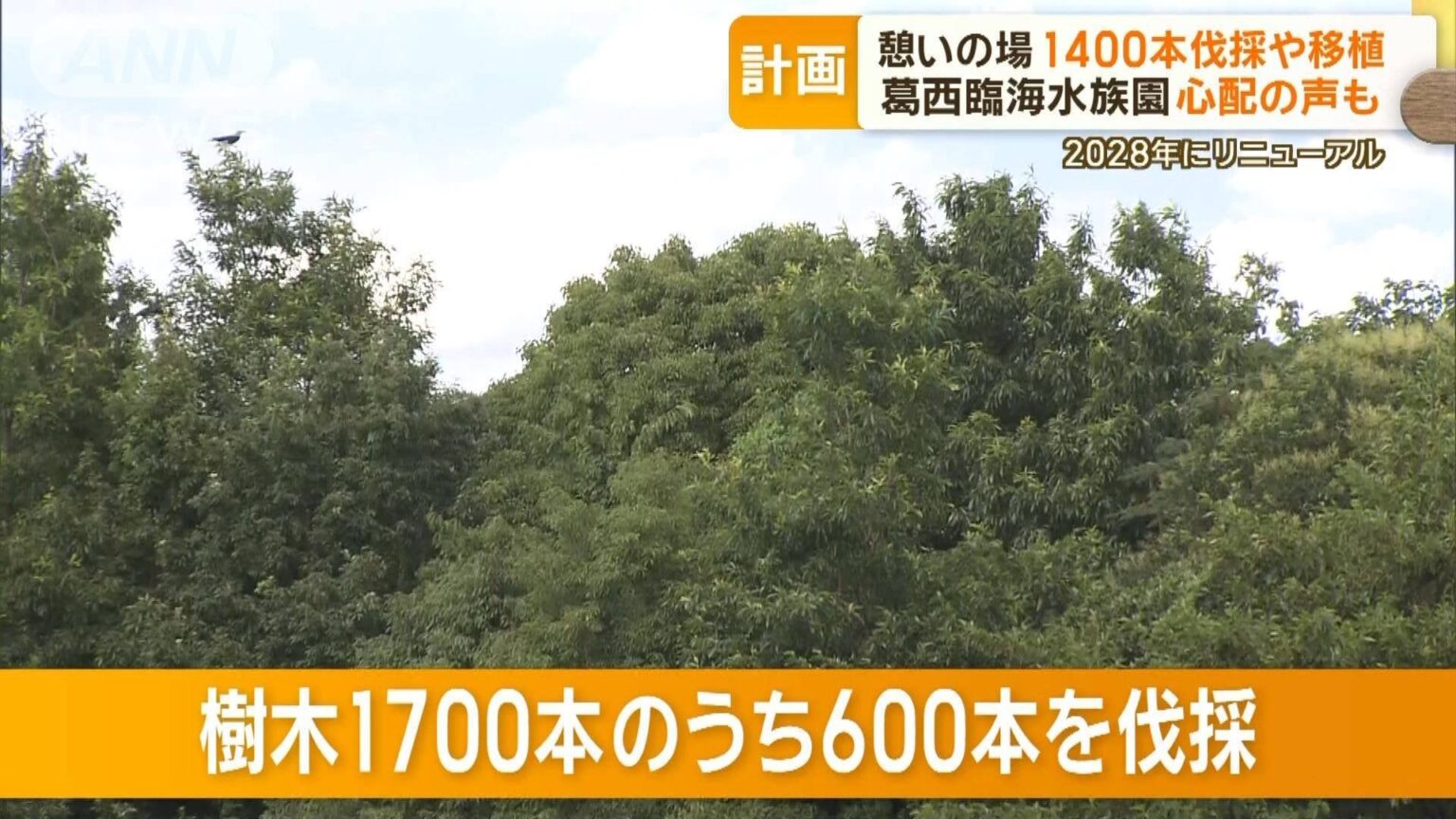 “憩いの場”1400本伐採や移植…心配の声も 葛西臨海水族園リニューアル計画