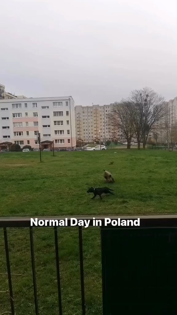 ポーランドの普通の一日