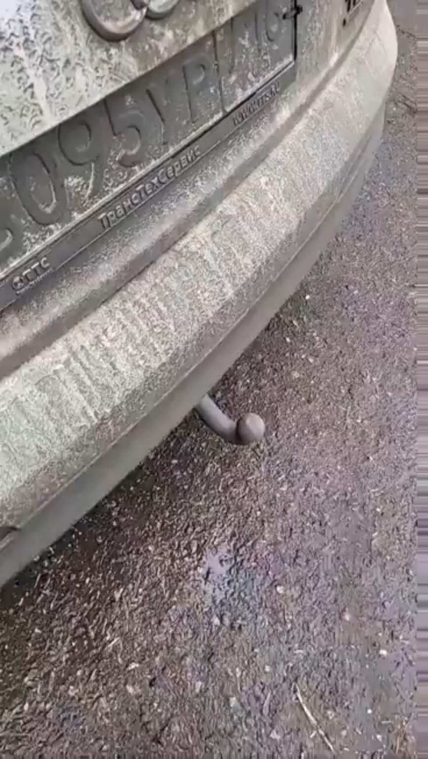 スラブの鳥のさえずり