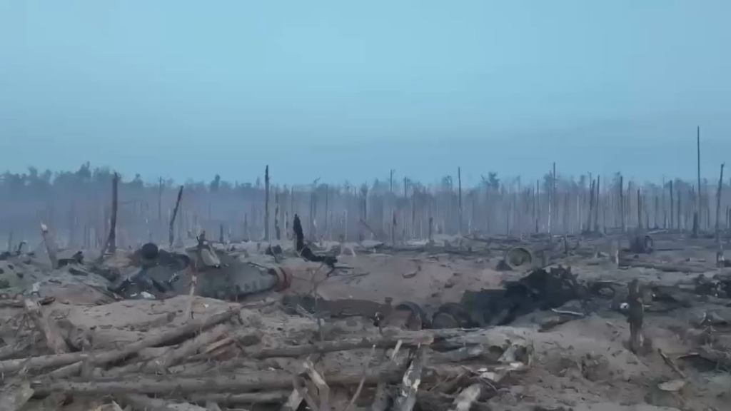 かつては鬱蒼として緑豊かだったクレミンの森は、今では折れた木々や破壊された陣地で死んだロシア人の荒野となっている。