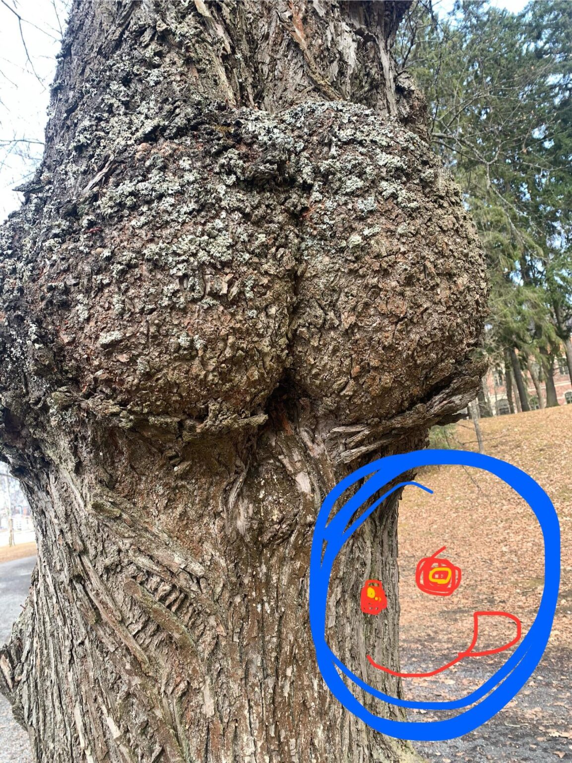 厚い春！