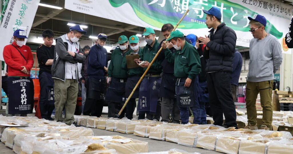 京都産「朝掘りタケノコ」が初競り 昨年より安く
