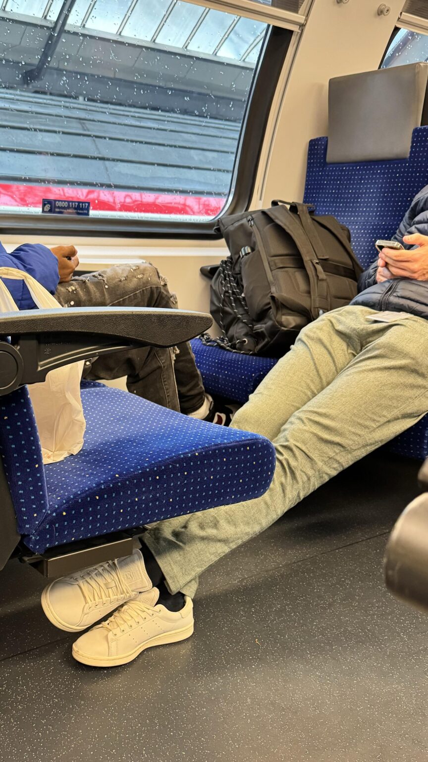 なぜスイスでは人々がこのようなことをするのだと思いますか?