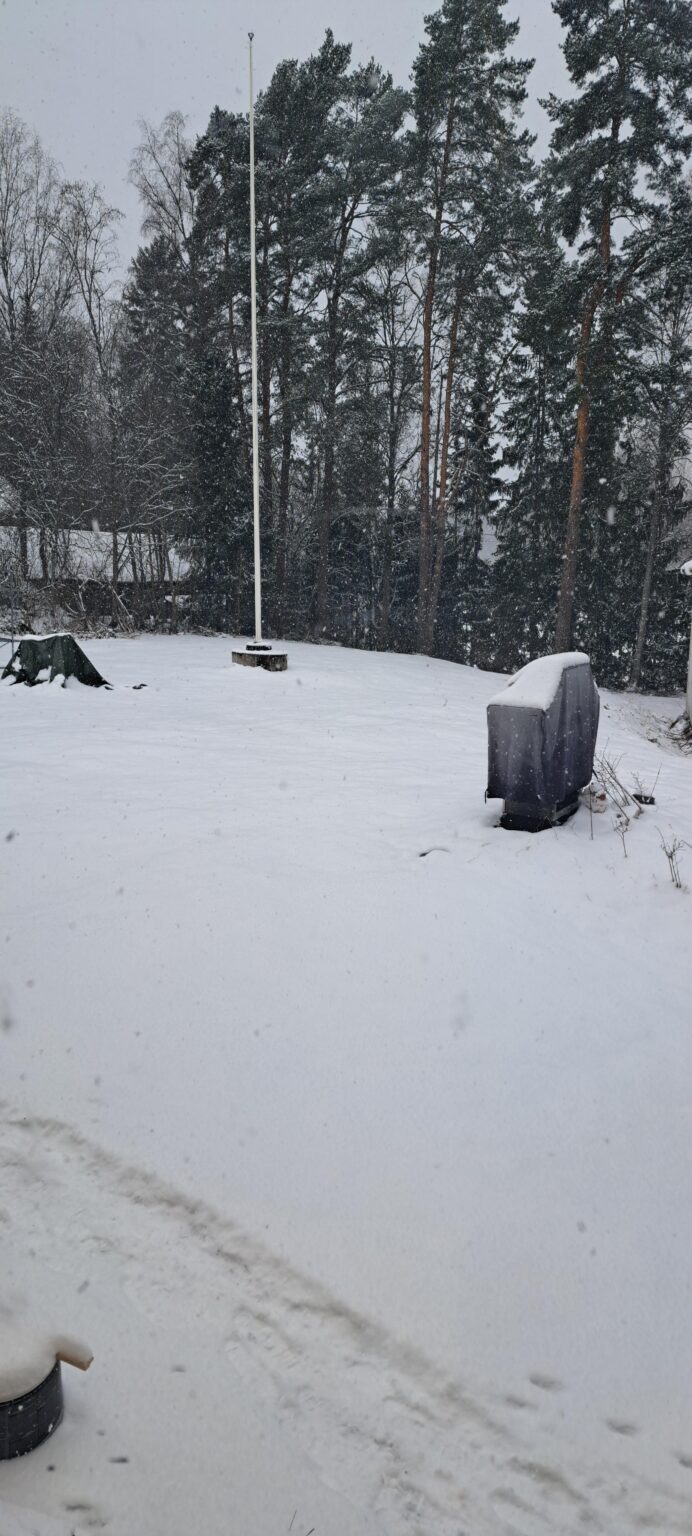 これは文字通り一週間前のことだから、前回みたいに雪が降っているのに文句を言っても怒らないでね
