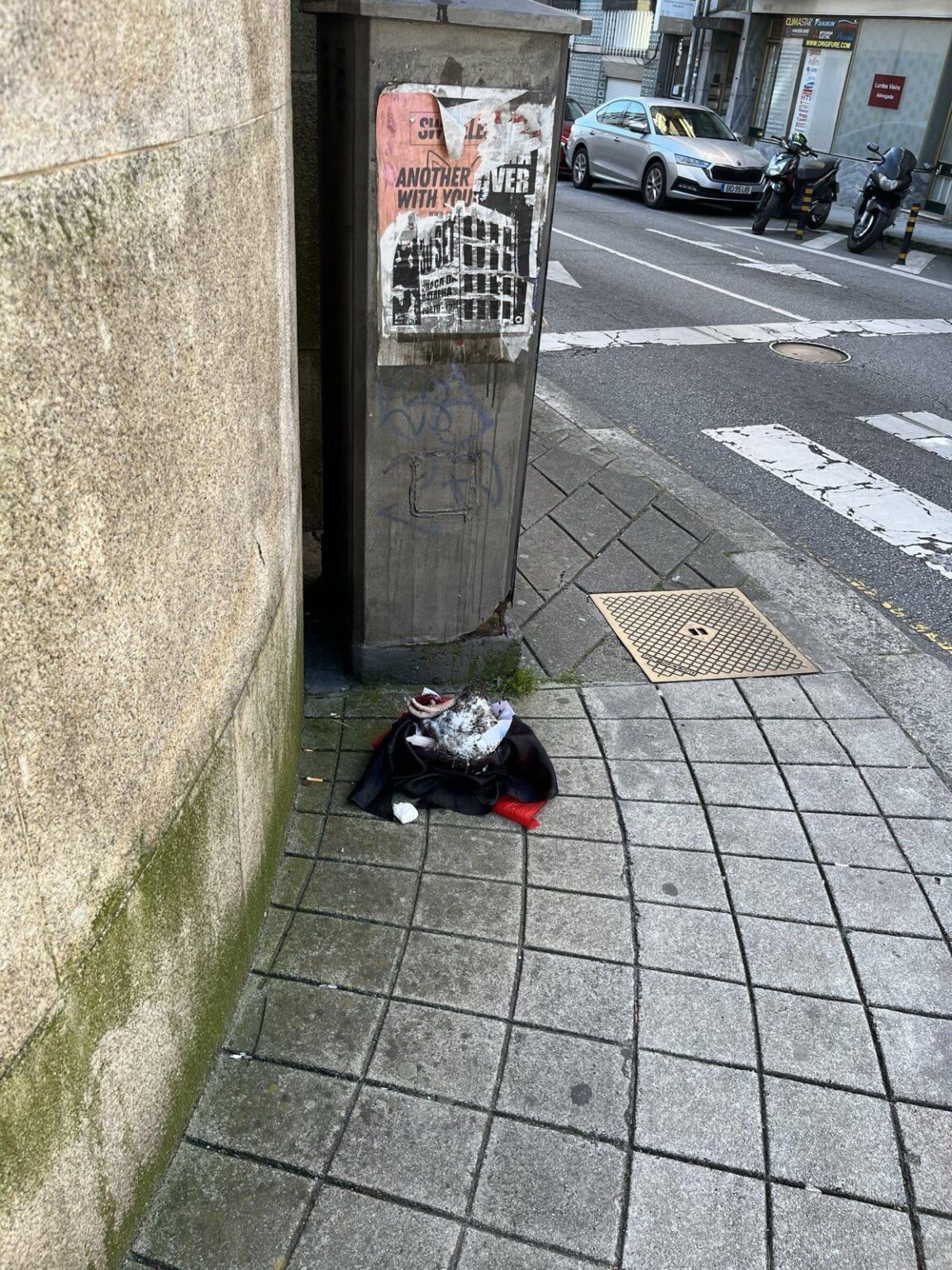 彼らはポルト市中にこれらの供物を広めていますが、今日まで動物の死骸を見たことはありません。この現象には説明がありますか?