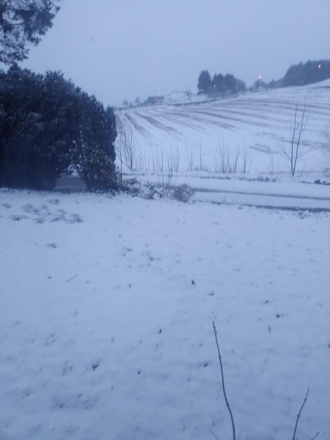 そうです、4月のノルウェー西海岸には雪が降っています。