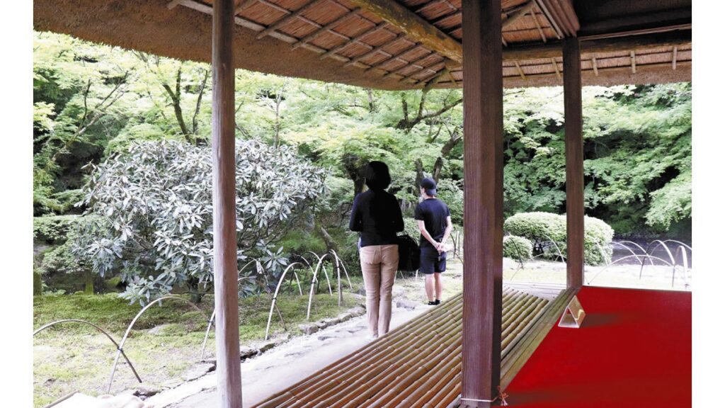 [ニュース] 佐賀「九年庵」春の一般公開、今年は建物内部も見られます…「新緑と青空、古風な建物がマッチ」