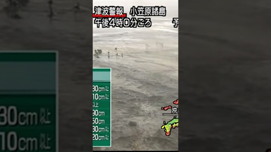人車が飲み込まれる瞬間　東日本大震災津波地震ライブ7　JAPAN earthquake TUNAMI LIVE　#shorts　#パツキン寺ＣＨ　#地震　#地震ライブ