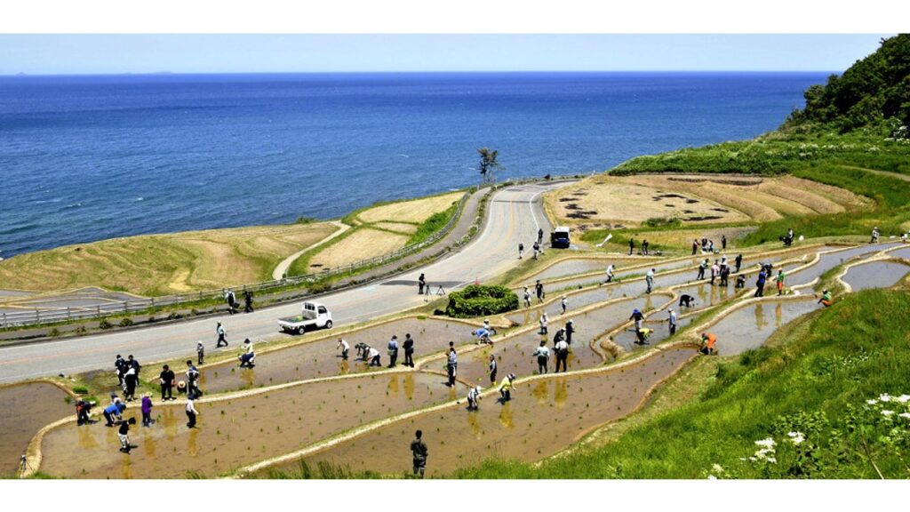 [社会] 輪島の千枚田で地震後初の田植え、被害小さいものや修復終えた１２０枚…「今年はできないと思った」