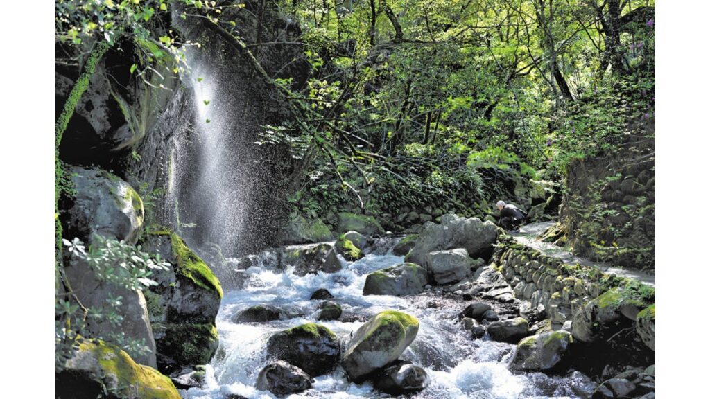 [旅] 愛した釣り 嘆きの雨…湯河原町（神奈川県）