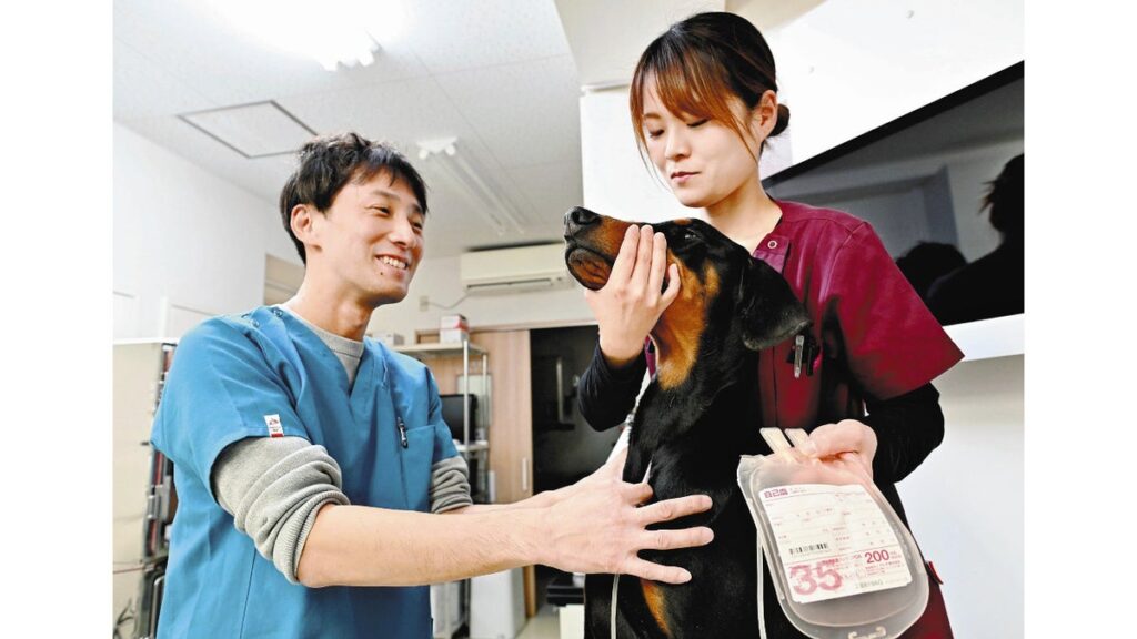[社会] ペットの輸血はドナー探しが難しく…動物病院飼育の「供血犬（猫）」頼りには限界、新たな動きも
