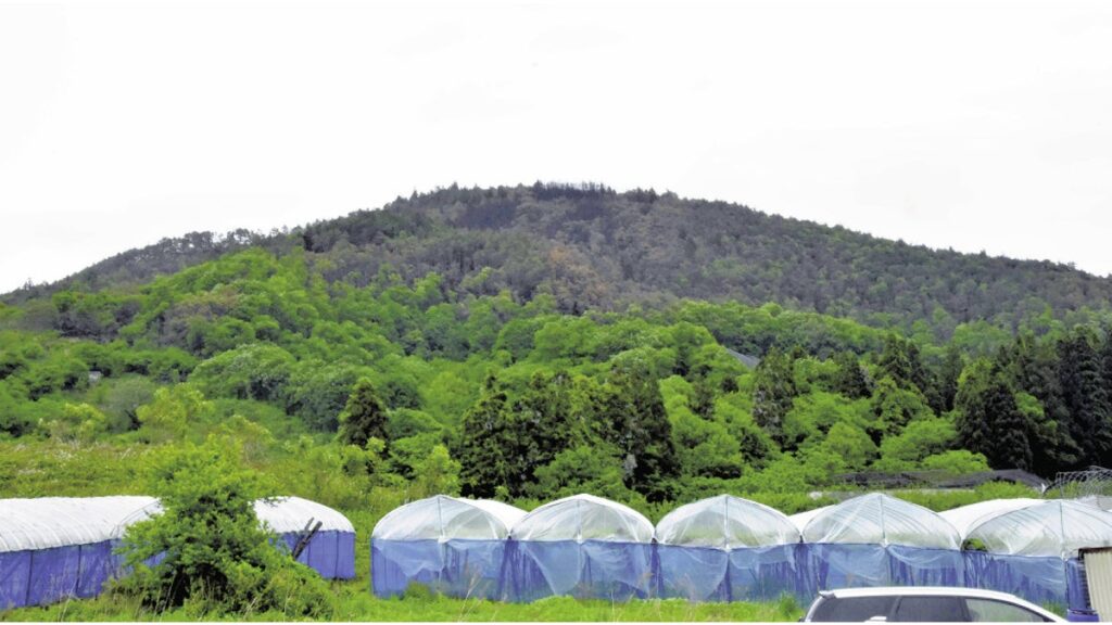 [社会] 山林火災の鎮圧状態後も続いた「ジェットシューター」消火活動、落ち葉の下に入り込んだ火の粉