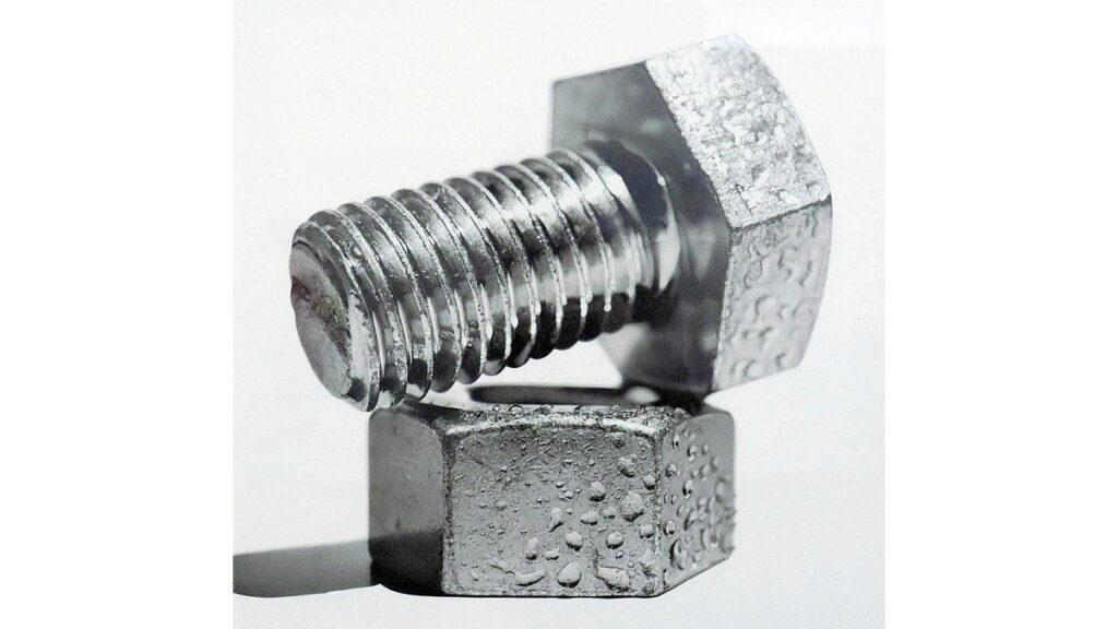 [社会] 実物そっくりに描く鉛筆画の「超絶技巧」、大森浩平さん初の個展「人の心を動かしたい」