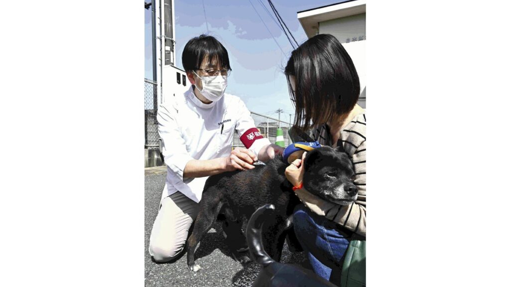 [ニュース] 「狂犬病」予防接種率が低迷、ワーストは沖縄５２％・福岡６０％…アジアでは年３万人以上死亡