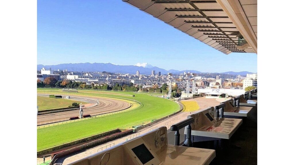 [その他] オークス、２番人気のチェルヴィニアＶ…桜花賞馬のステレンボッシュ２着