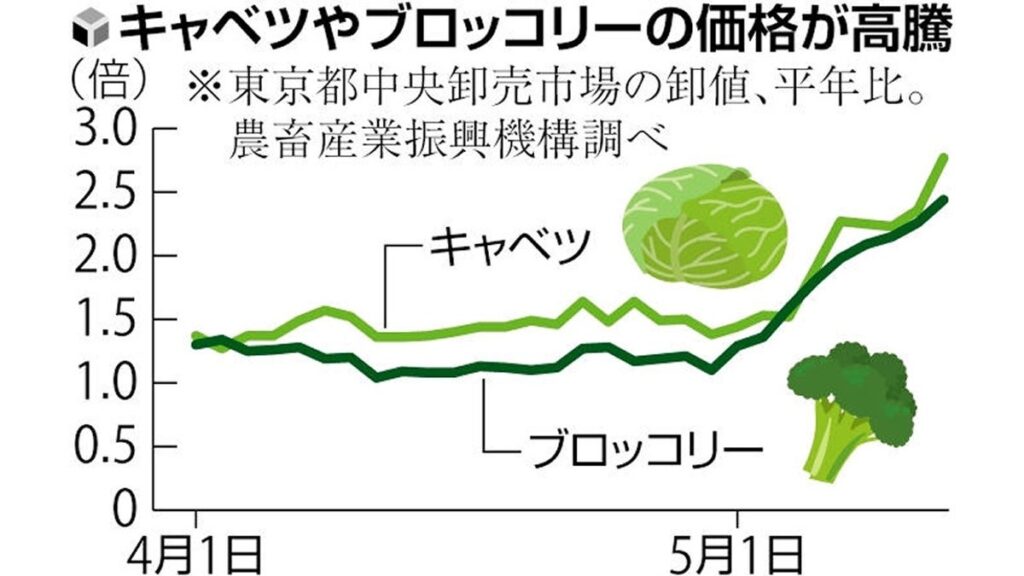 [経済] キャベツやブロッコリーの価格高騰、天候不順で２倍以上の４００円超も…端境期の今がピークか