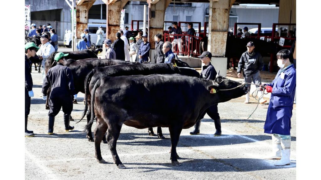 [社会] 松阪牛と近江牛、四日市市がふるさと納税の返礼品とりやめ…松阪市や滋賀県が反発