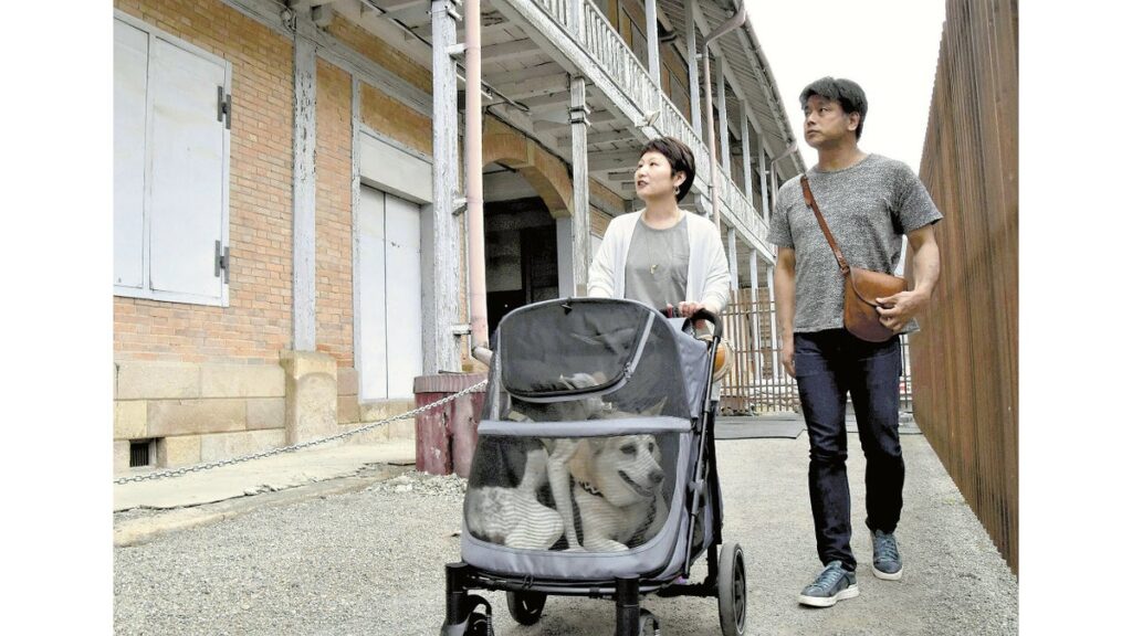 [経済] ペットと一緒に旅行できます…富岡製糸場は外周の見学可、嬬恋村の約１５施設では宿泊ＯＫ