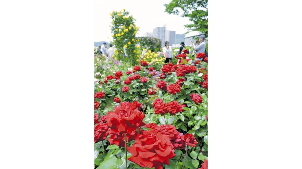 [ニュース] 華麗なるガーデン＜びわ湖大津館＞