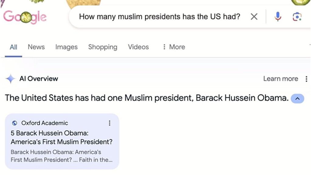 [国際] グーグルＡＩ要約に誤情報多発「チーズをピザにのせるには接着剤」…オバマ氏に関する誤りは「削除した」