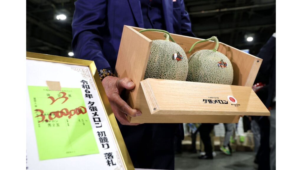 [PHOTO 北海道] 北海道の初夏の味覚 夕張メロンの出荷がスタート