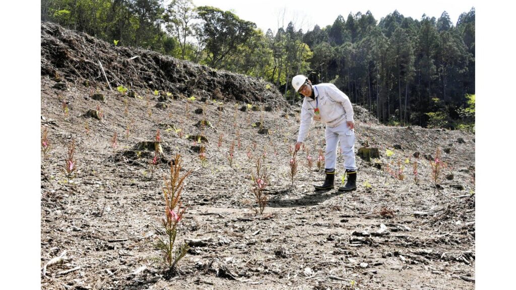 [ニュース] 宮崎県、スギ材生産３２年連続日本一だが…伐採後に植樹「再造林率」頭打ち状態に危機感