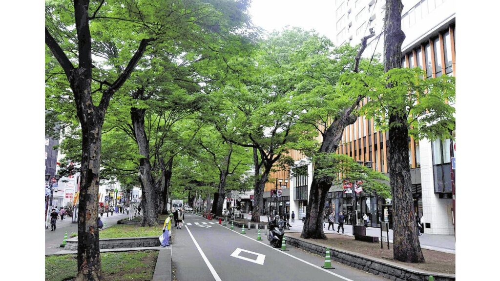 [ニュース] ケヤキ並木保全へ条例 府中市方針 国天然記念物１００年機に