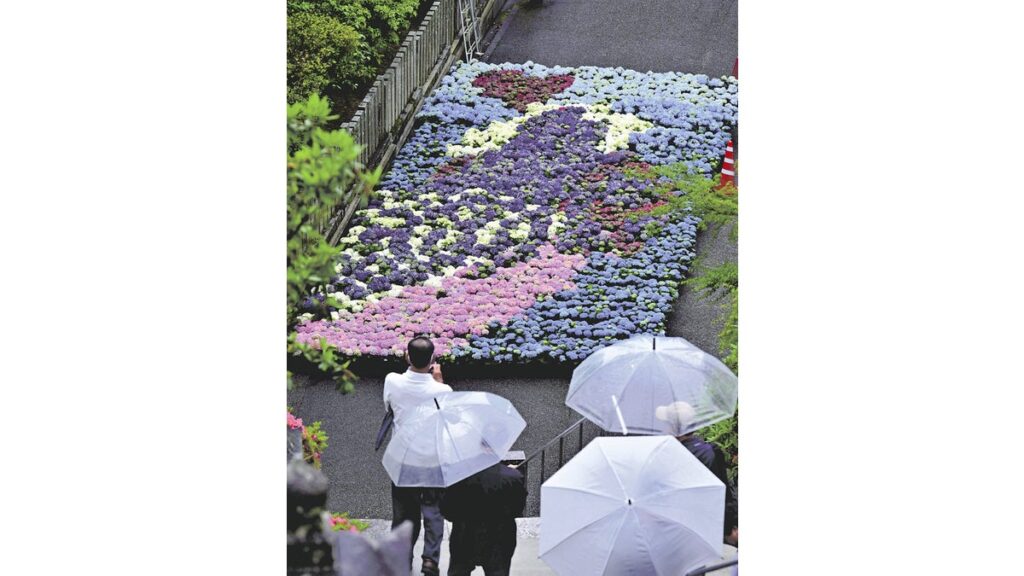 [#kyoto] 紫式部の恋を表現…宇治の三室戸寺にアジサイ・アート登場