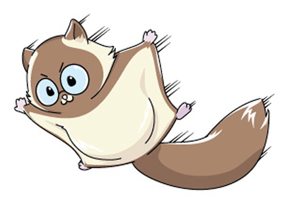 イラスト・鶴岡さくら