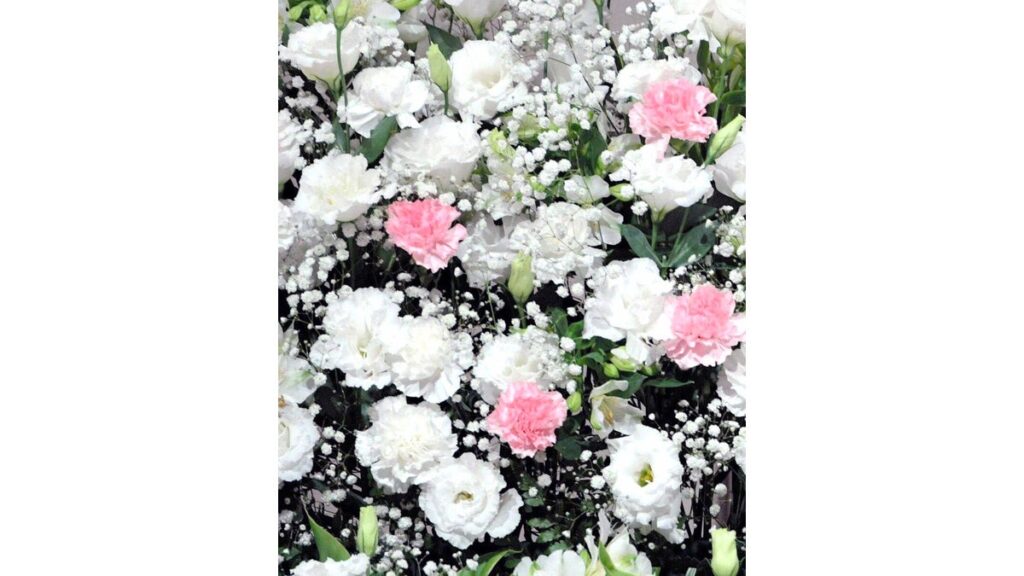 ９２歳で亡くなった「魂のピアニスト」フジコ・ヘミングさん、公式ＷＥＢで明かされた闘病生活「病室や病院内でピアノを弾いたこともありました」