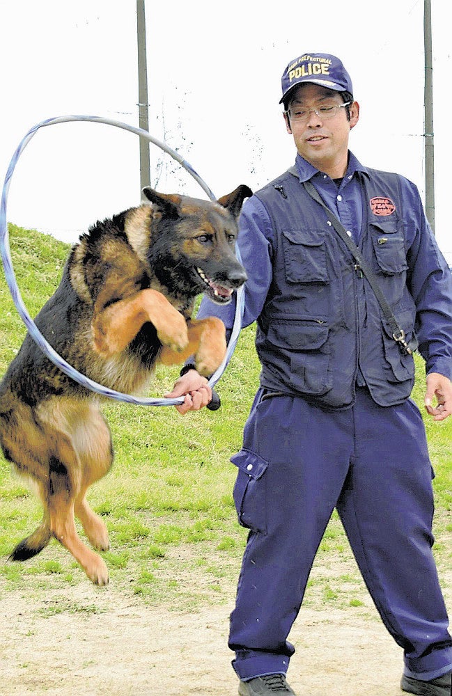 訓練で、ジャンプしてリングをくぐる技を見せる横田さんとコニー号（大阪市此花区で）