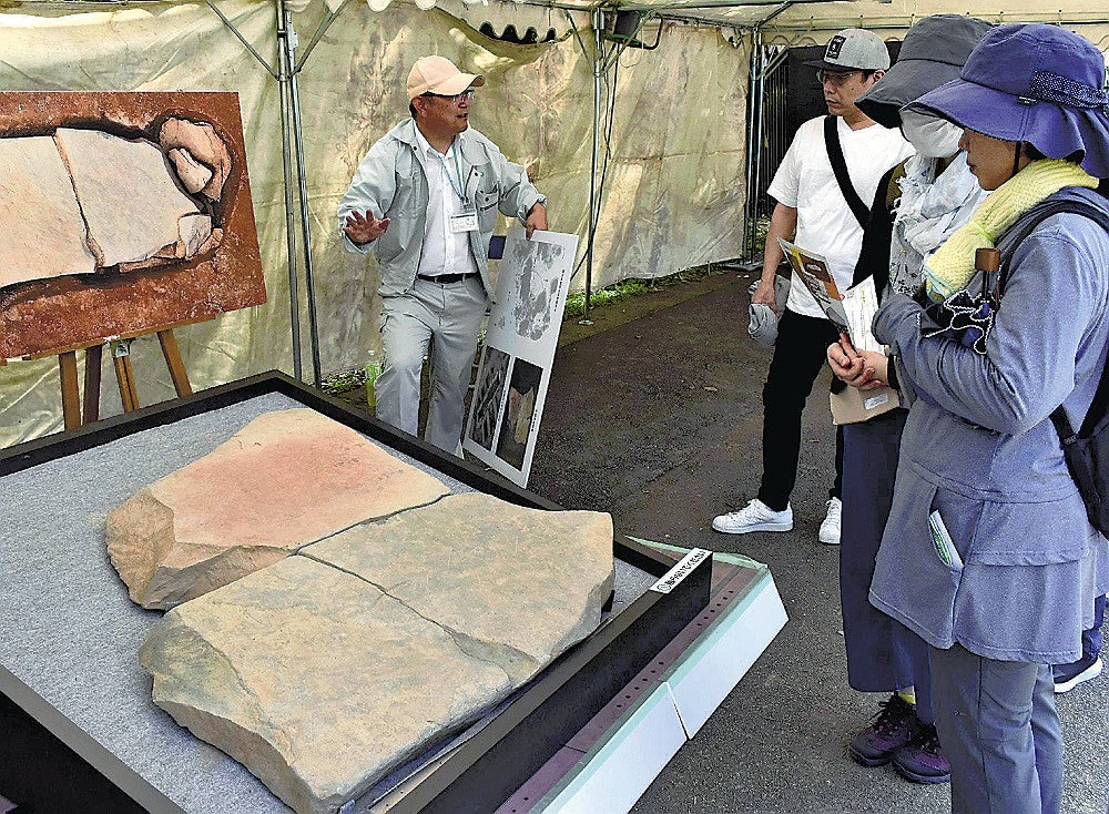 展示された石棺墓の石蓋