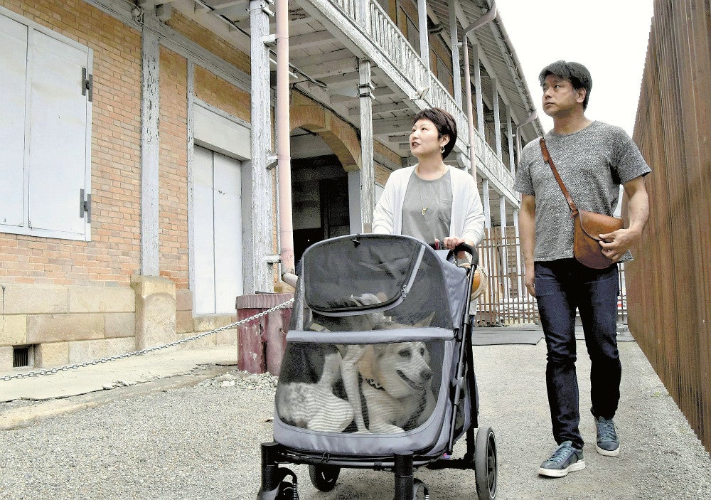 ペットカートを使い、愛犬２匹と富岡製糸場内を見学する夫婦（４月２１日）