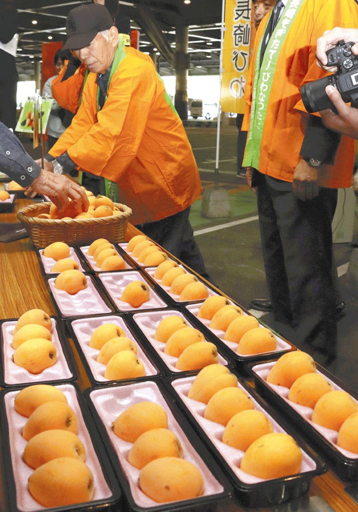 販売会で振る舞われた大粒のビワ