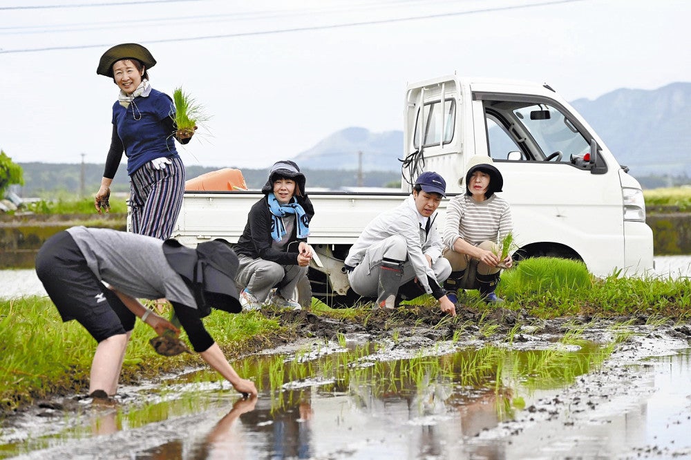 田植えをする参加者