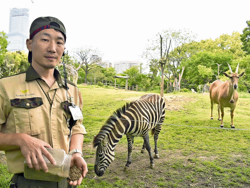 シマウマなどのふんから加工した堆肥を手にする中原さん（天王寺動物園で）