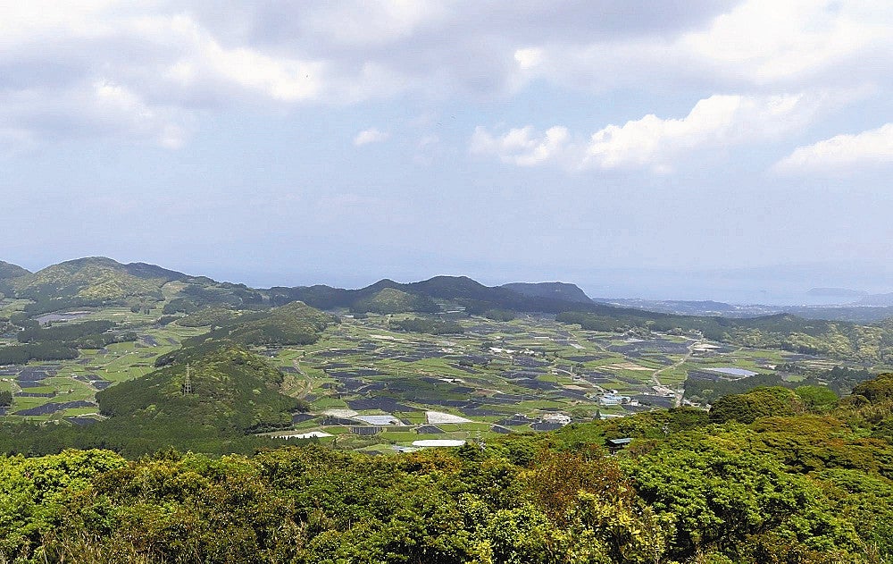 しろろ山頂展望台からは薩摩半島や茶畑を一望できる