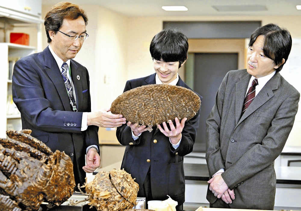 ハチの生態について説明を受けられる秋篠宮さまと悠仁さま（４月６日、玉川大の昆虫科学実験室で）