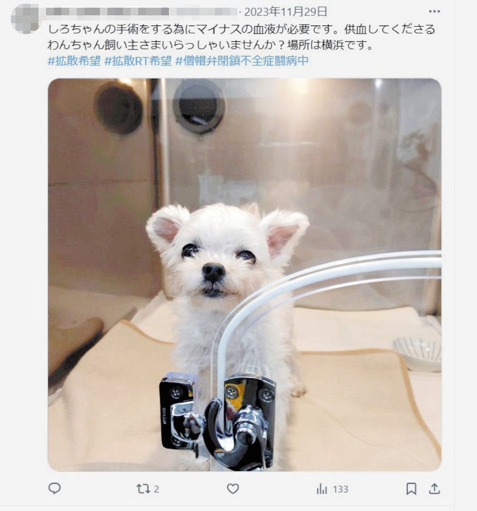 「しろ」のために血液提供を求める女性の投稿＝画像は一部修整しています
