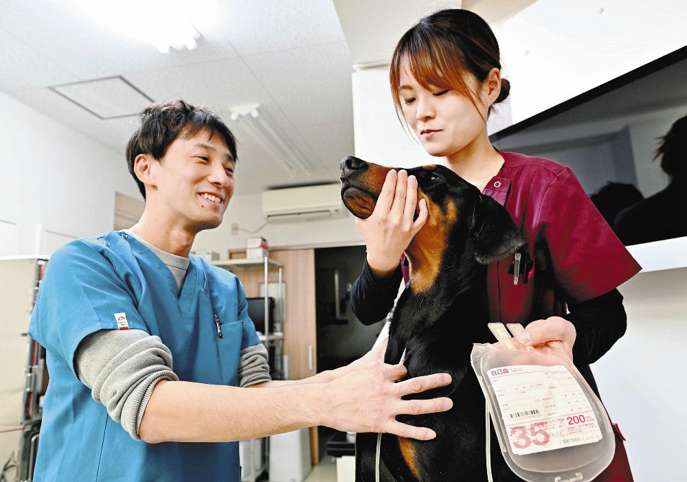 クレア動物病院の田中誠悟院長（左）と供血犬の「ダノン」（大阪市天王寺区で）＝上田尚紀撮影