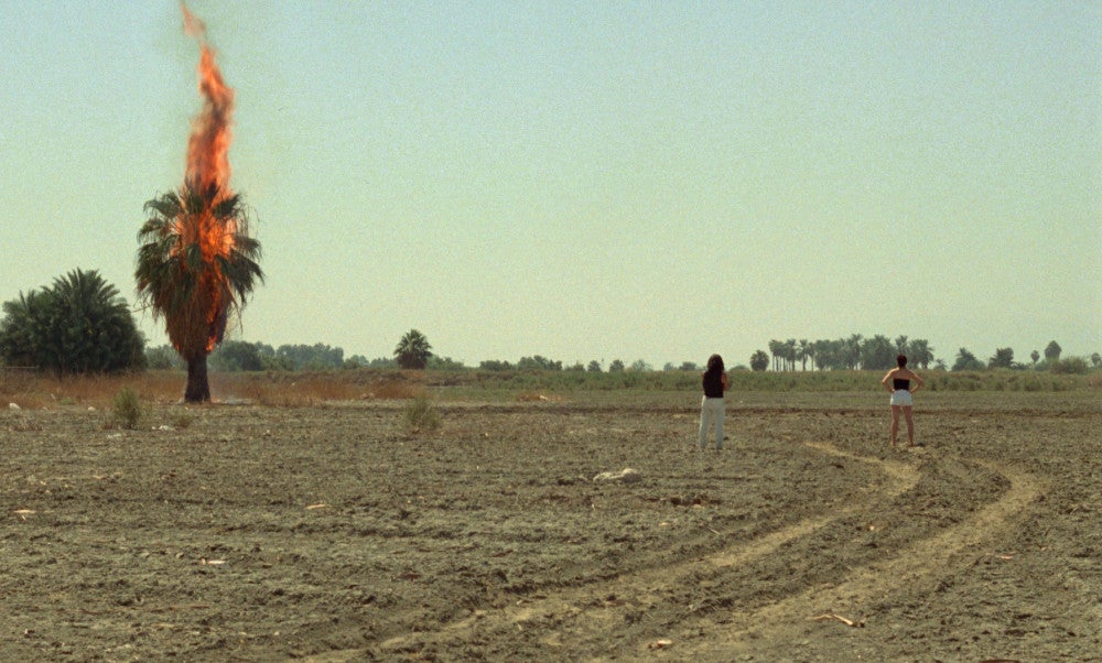 「クイーン・オブ・ダイヤモンド」＝（Ｃ）１９９１　Ｎｉｎａ　Ｍｅｎｋｅｓ　（Ｃ）２０２４　Ａｒｂｅｌｏｓ