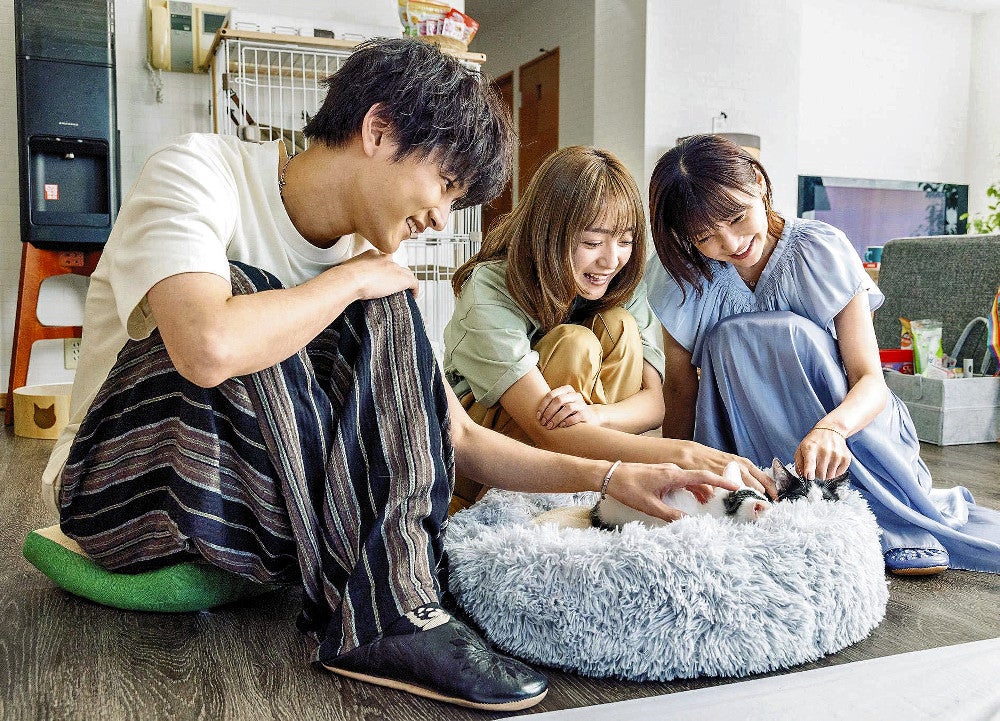 「三日月とネコ」