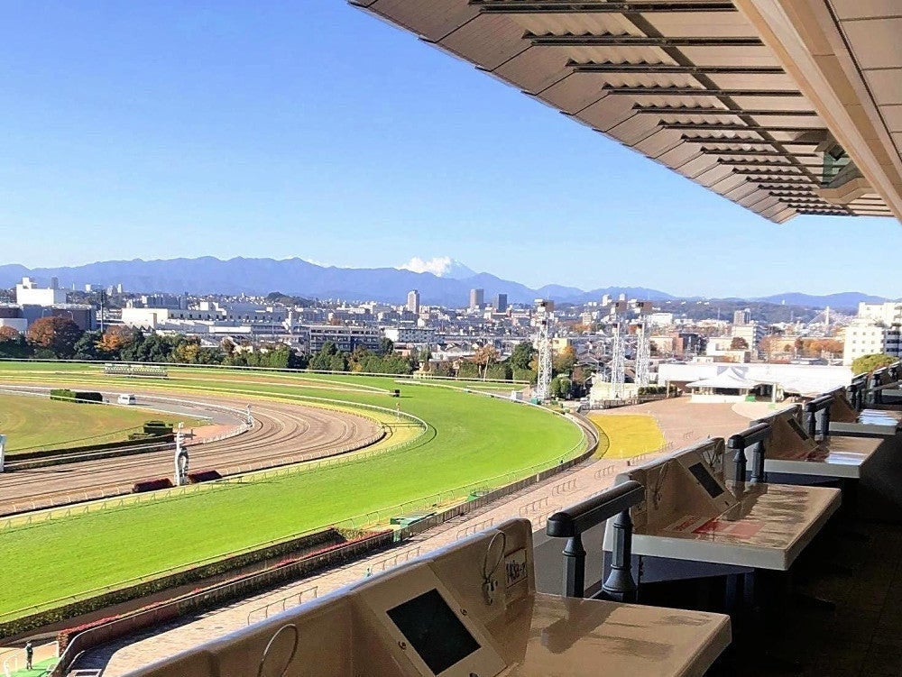 東京競馬場