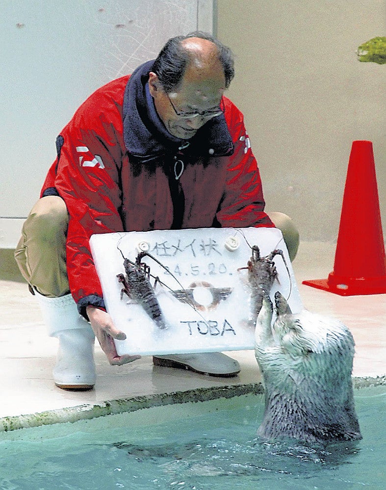 飼育員から「任メイ状」代わりのアイスケーキを受け取るメイ