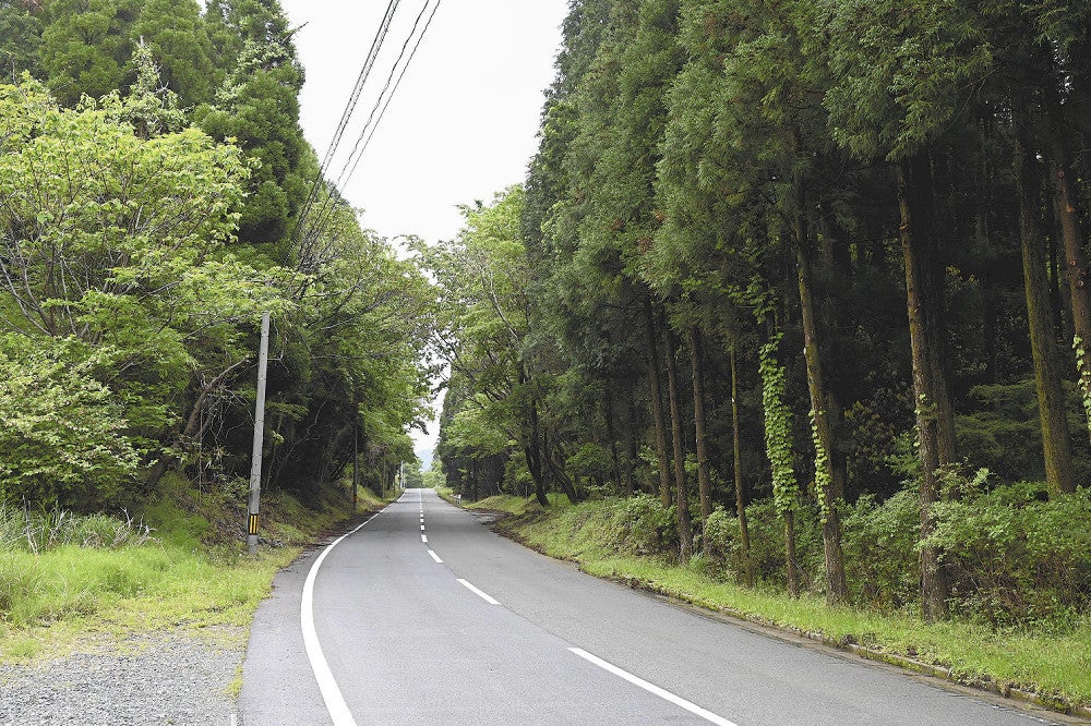 「阿蘇ソフトの村」の用地となっている山林付近