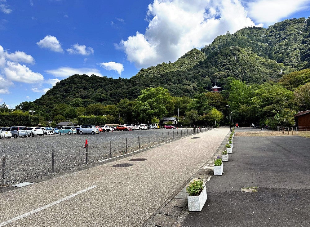 民間活力による再整備が計画されている岐阜公園の事業対象区域付近