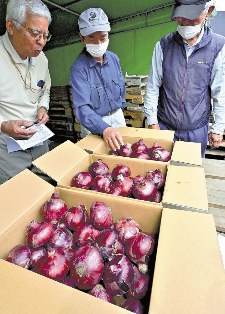 色や形などを確認する湘南レッドの生産者ら（２３日、大磯町で）
