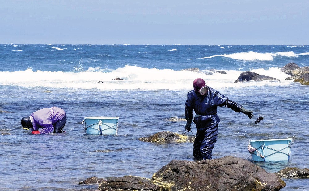 ウニ漁を行う海女