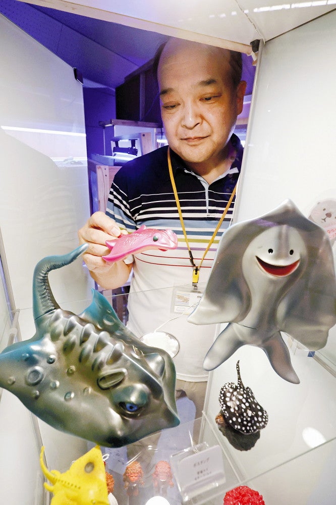 エイのフィギュアと、エイをモチーフにした怪獣人形の展示準備を行う学芸員の大西拓さん（１０日、福岡市東区のマリンワールド海の中道で）